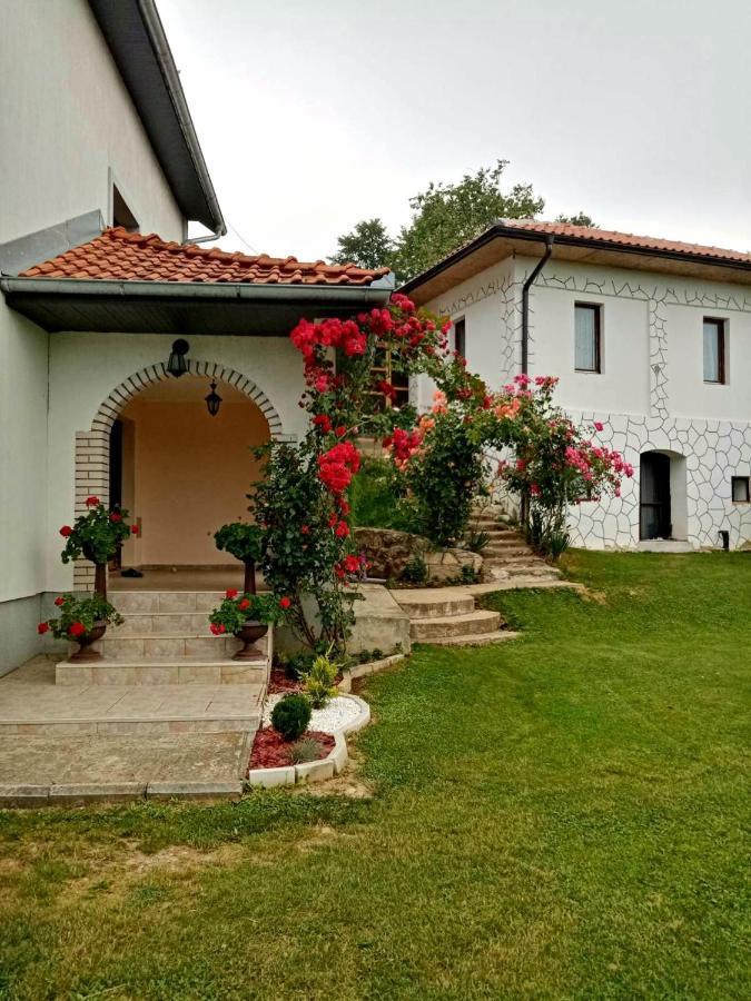 Domacinstvo Sindelic Hotel Ivanjica Bagian luar foto