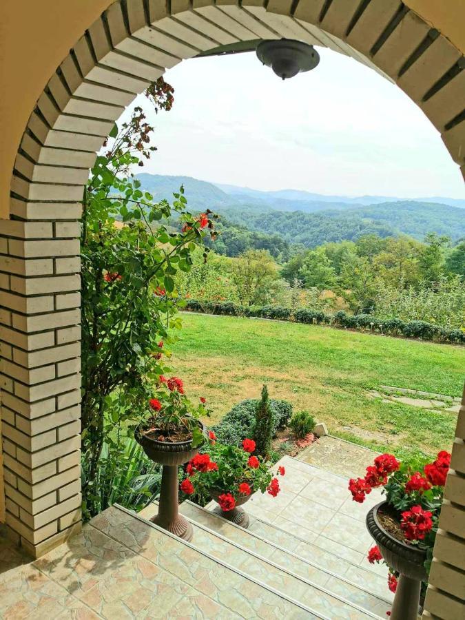 Domacinstvo Sindelic Hotel Ivanjica Bagian luar foto