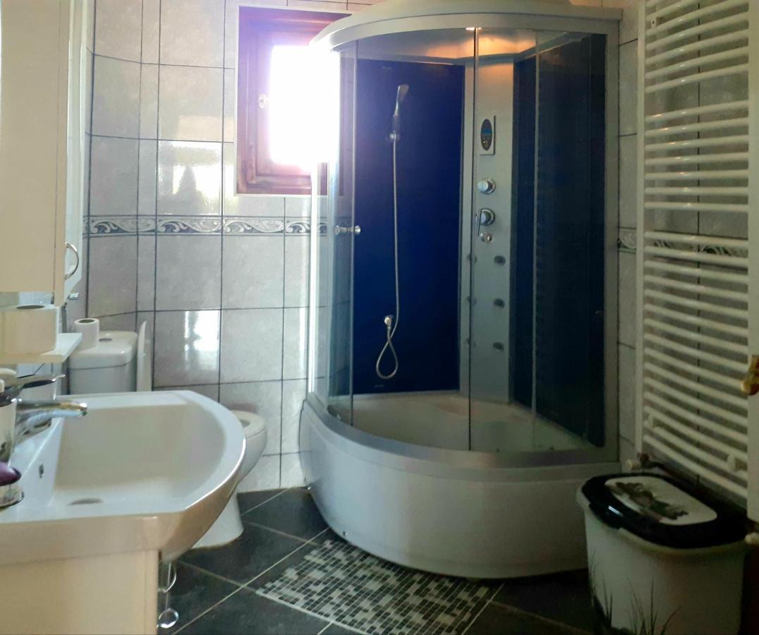 Domacinstvo Sindelic Hotel Ivanjica Bagian luar foto