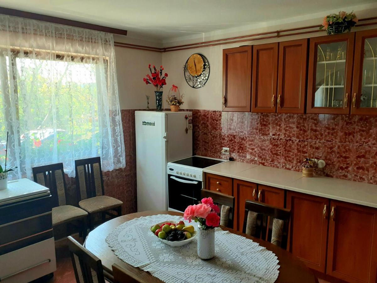Domacinstvo Sindelic Hotel Ivanjica Bagian luar foto