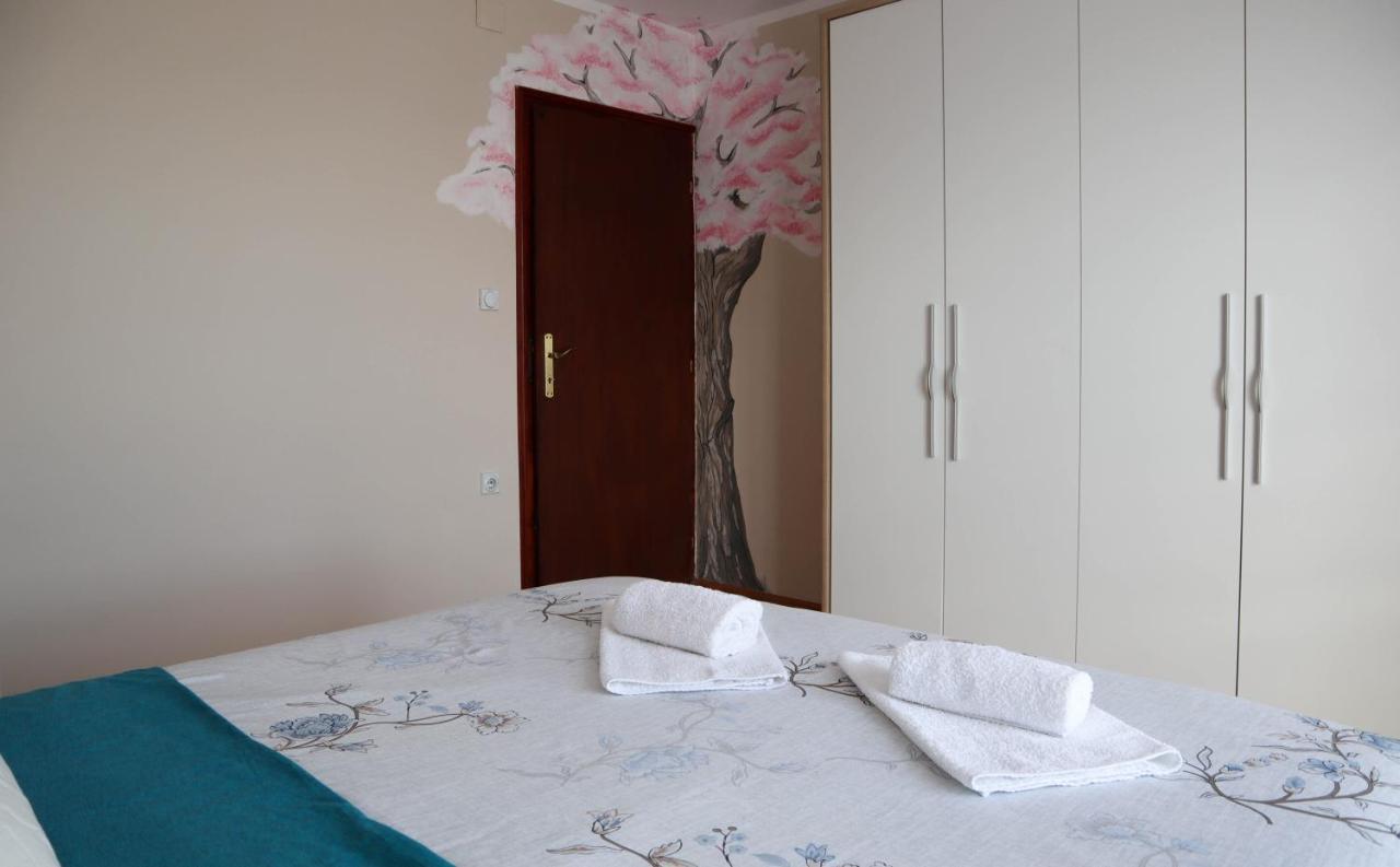 Domacinstvo Sindelic Hotel Ivanjica Bagian luar foto