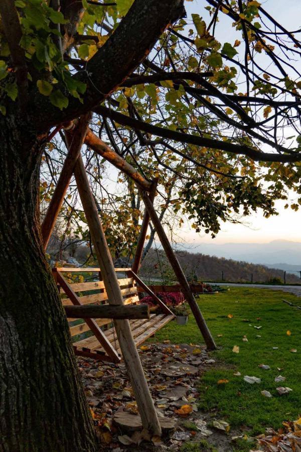 Domacinstvo Sindelic Hotel Ivanjica Bagian luar foto